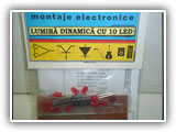 LUMINA DINAMICA CU  10 LED-uri ;pret 21,00 lei